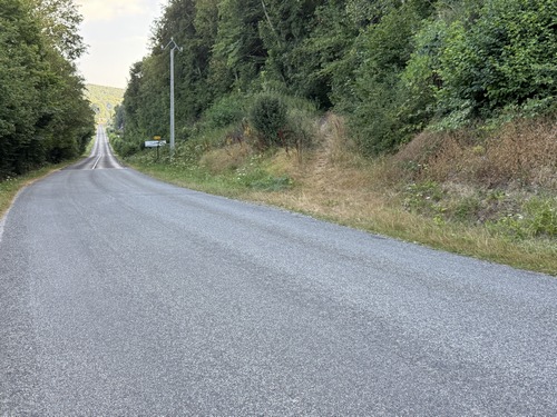 Nous marchons quelques mètres sur la D321, avant de trouver l'entrée en forêt. C'était une large allée forestière carrossable, mais l'entrée est désormais plutôt discrète.