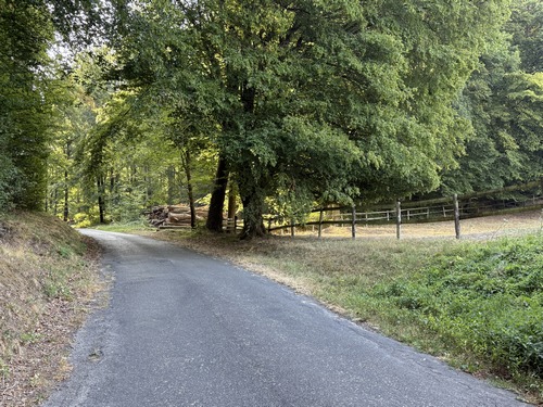 Nous sommes maintenant sur la route forestière du Val aux Ânes, et allons tourner à droite en suivant la clôture de bois.