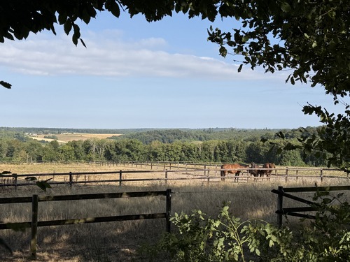 Vue sur la forêt de Lyons depuis les Fieffes.