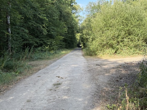 Sur le chemin de Mesnesqueville, nous prenons à gauche au premier carrefour.