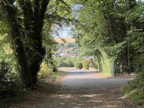 Sortie de forêt, retour au niveau de l'église Saint-Pierre.