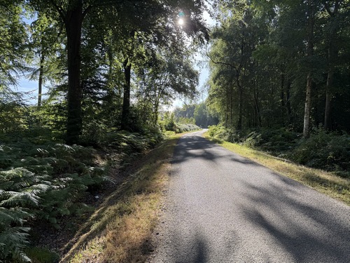 Nous avons rejoint la route forestière de Muchedent, et passons près de la maison forestière du Hoquet.