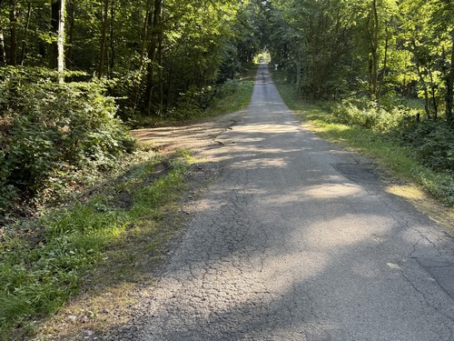 Nous allons quitter la route forestière de Muchedent pour prendre le chemin à gauche.
