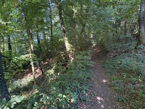 Montée vers le Goulet. Les montées de ce circuit ne sont pas méchantes.
