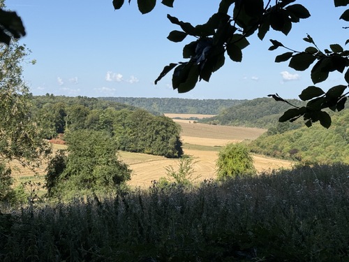 Dernier regard sur les paysages de la forêt d'Eawy avant d'entrer dans les Grandes-Ventes.