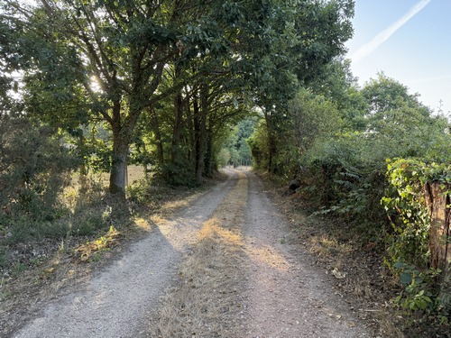 Premier « chemin » du circuit: le chemin des Garennes.