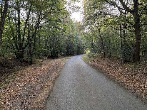 Après la station d'épuration, nous retrouvons la route de Lisores dans ce passage boisé.