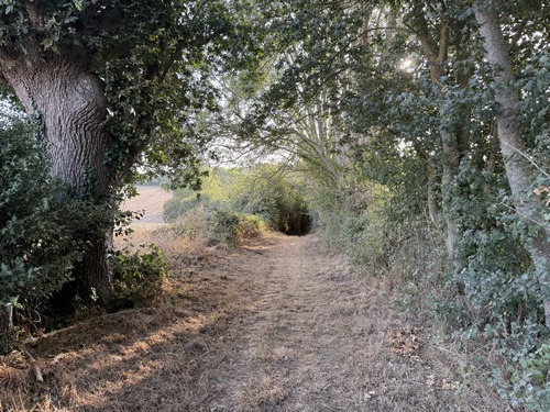 Nous quittons la route après le hameau du Saucé, et ce sont maintenant les chemins qui domineront sur le reste du circuit, et de beaux chemin!