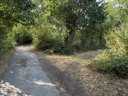 En lisière des Petits Bois, le chemin de droite est un raccourci qui réduit le circuit d'un tiers. Pas question de raccourci pour nous, les chemins sont trop agréables, nous continuons en face.