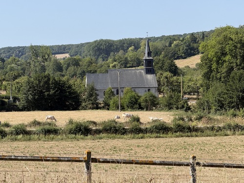 On aperçoit l'église Sainte-Foy (XIIIe).