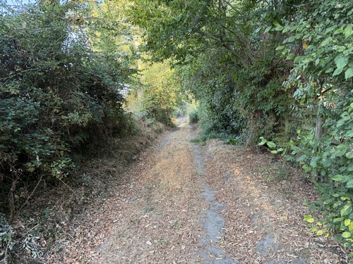 Peu après le départ, nous sommes déjà sur le premier chemin, représentatif de ce qui nous attend sur ce circuit: un beau et large chemin, sous l'ombre des haies bocagères.