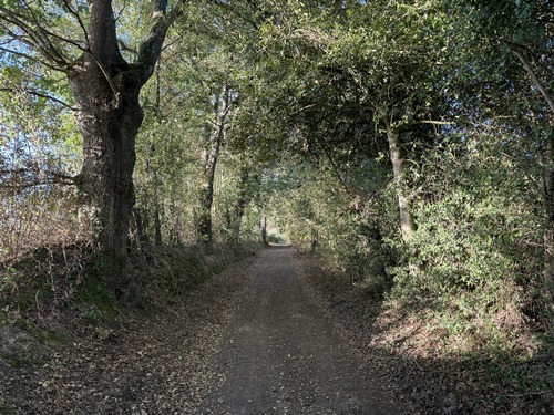 Chemin de la Mansonnière.