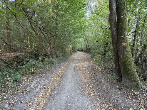 Chemin des Vaux Menard. On voit à droite, entre autres, le balisage jaune de ce circuit.