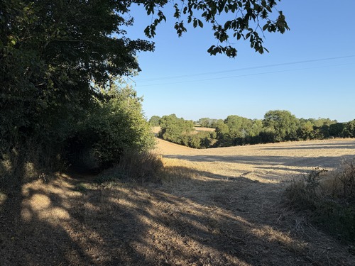 Nous avons longé la forêt des Moutiers Hubert, et sommes au lieu-dit La Greslebinière.