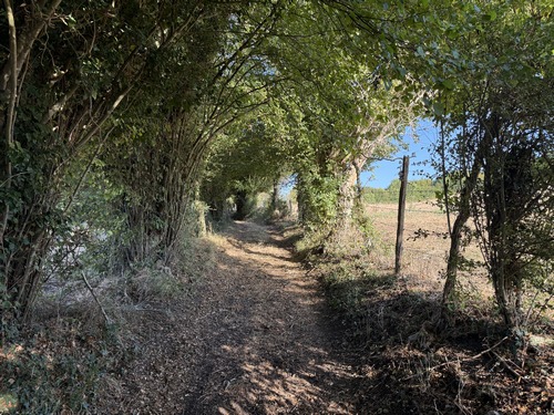 Le chemin de la Poterie avance à flanc de coteau, avec des points de vue sympathiques.