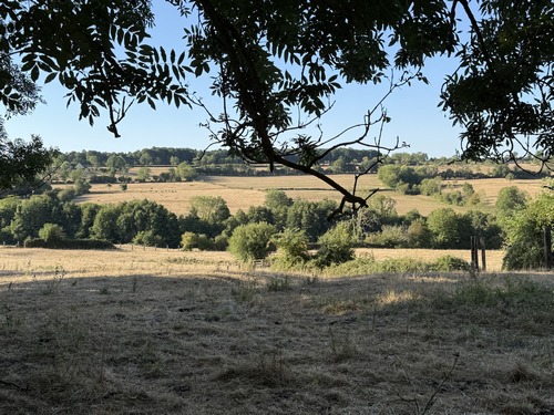 Vue sur le vallon du Ruisseau du Moulin depuis le chemin de la Poterie.