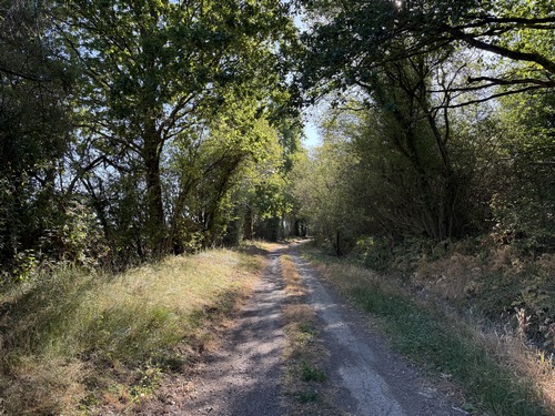 Nous avons traversé la D4, suivi sur quelques mètres la route du Bois Vilain, et sommes maintenant sur le chemin du Bois du Rouil.