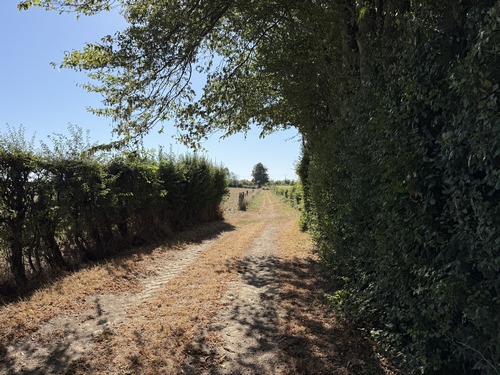 Nous avons traversé la D268, et continuons sur le dernier chemin du circuit: le chemin de la Biltière.