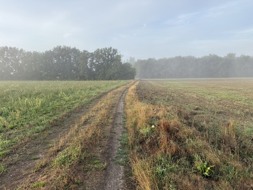 Rapidement, nous trouvons notre premier chemin, celui des Anguilles, qui se glisse entre herbages et petits bois.