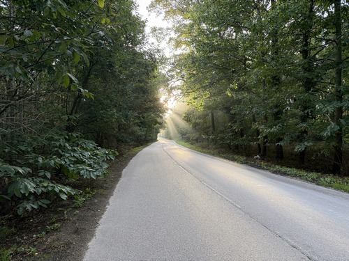Le Chemin d'Ambourville est une petite route bordée de bois. Elle pourrait ne pas être désagréable, mais nous avons été surpris par le passage de trois camions de carrières, et par la vitesse à laquelle ils roulaient sur cette route étroite.