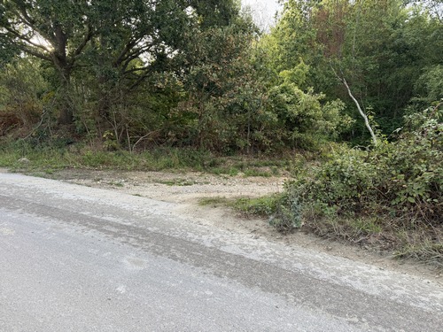 Dans le virage en épingle à cheveux, nous prenons le chemin qui traverse le bois des Chauves Têtes.