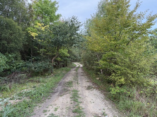 C'est un chemin agréable, mais c'est le dernier de ce circuit.