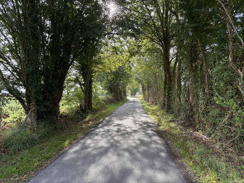 Nous avons donc continué sur la route du marais et tournons ici dans la rue aux Oies.
