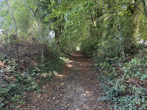 Nous longeons la ferme en suivant ce premier chemin ombragé.