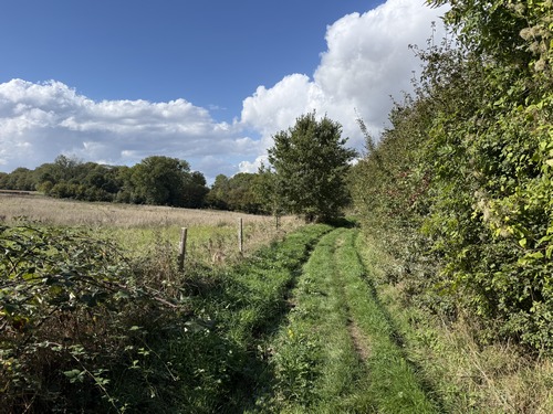 Nous suivons le Chemin du Val au Roy qui tourne vers le nord en entrant dans le bois du coteau.