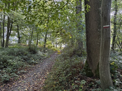Nous tournons vers le sud pour suivre le GR210 sur l'ancienne voie romaine de Rouen à Arques.