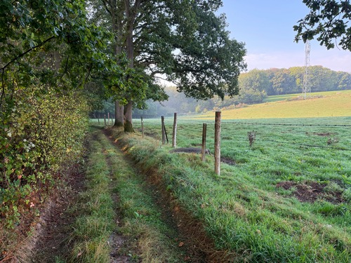Nous continuons sur l'ancienne voie romaine jusqu'au bois de la Vente du Thuit.