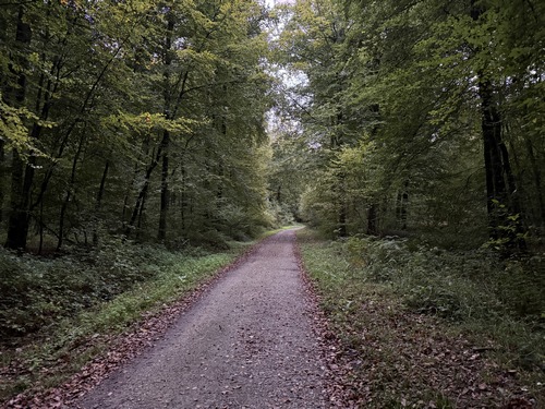 Nous partons du carrefour du Hêtre des Ecoliers, rue de l'église, point de départ du circuit pédagogique du Chemin des Ecoliers, et suivons le Chemin des Fermes.