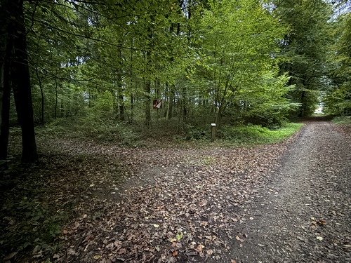 Nous quittons ici le Chemin des Fermes pour tourner à gauche sur le Chemin des Ecoliers.