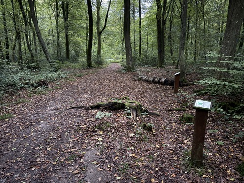 Le Chemin des Ecoliers est ponctué de panneaux pédagogiques sur la faune et la flore de la forêt.