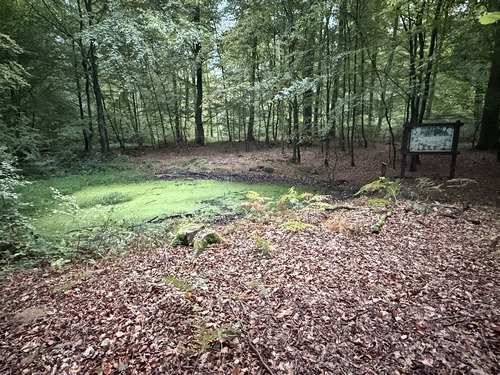 Mare en bordure du Chemin des Ecoliers.