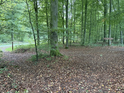 Nous allons quitter ici le Chemin des Ecoliers pour traverser à gauche la route forestière de Bully, et continuer sur le chemin de l'autre côté.