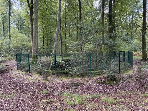 Et voici le Puits Merveilleux. Le Puits Merveilleux est un gouffre en forme de sablier, propice aux légendes comme celle du carrosse tombé avec ses chevaux, du canard entré ici et ressorti au château d'Arques-la-Bataille... Le gouffre a été en partie désobstrué mais conserve encore des mystères.