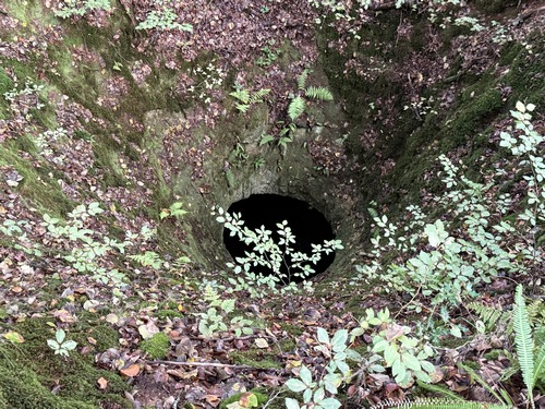 Ce puits semble avoir été une mine, creusée pour la verrerie voisine.