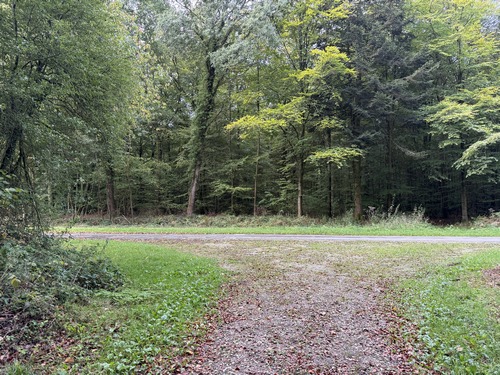 Nous rejoignons l'allée des Limousins que nous allons prendre à gauche. L'allée des Limousins a été creusée vers 1811 par les sapeurs de l'Empire, venus du … Limousin.
