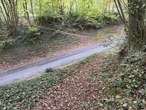 Le chemin débouche sur la route forestière de Bully, et nous allons continuer en face sur le chemin qui monte le talus.