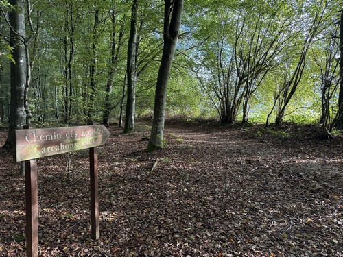 Nous voilà de retour sur le Chemin des Ecoliers, en bordure du Camp Souverain.