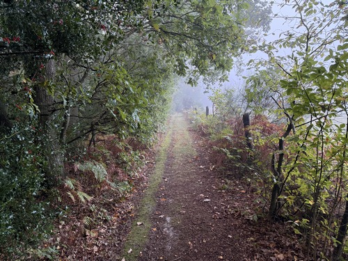 Le Chemin du Moulin devient un vrai chemin après la dernière maison.