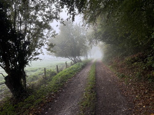 Nous avons rejoint le Chemin de la Vieux dans les marais de Seine.