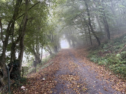 Chemin de la Vieux.