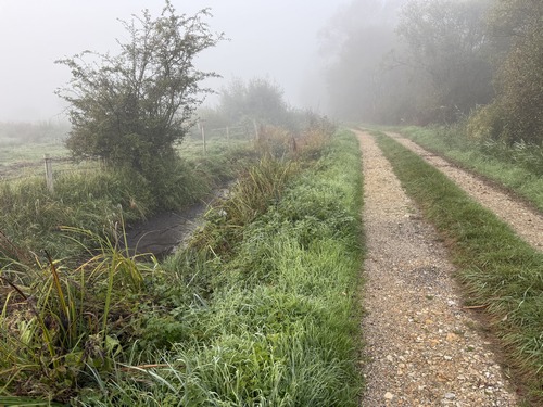 Le Chemin de la Vieux tourne vers la Douillère et traverse les paysages des marais. Comme souvent dans les marais devenus terres agricoles, le terrain est parfaitement drainé, et les chemins non seulement hors d'eau, mais praticables par jour de pluie, sans patauger.