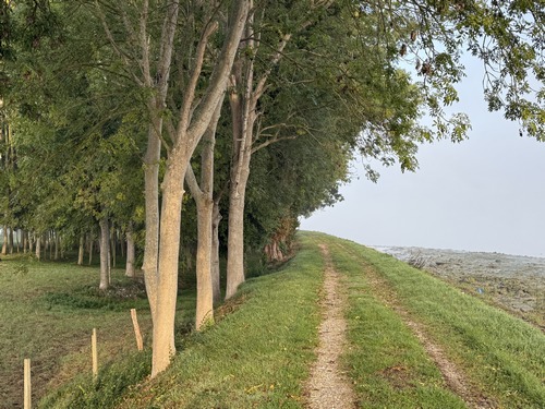 Le chemin de halage devient un vrai chemin après la ferme des Osiers.