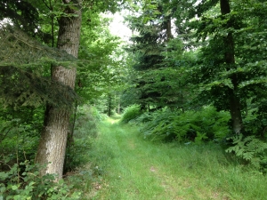Vue de la randonnée Etonnant Val Gallerand. au départ de La Ferrière nord, 27