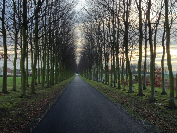 Vue de la randonnée Le plateau ouest. au départ de Lillebonne ouest, 76