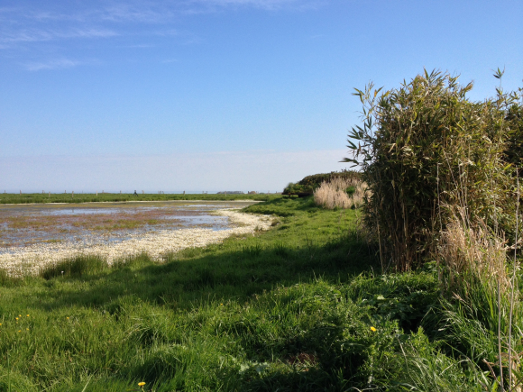 Vue de la randonnée Chemins de campagne. au départ de Sotteville-sur-Mer, 76