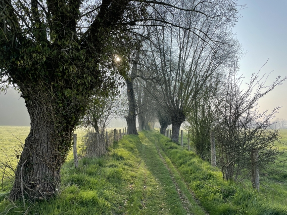 Vue de la randonnée Coteau boisé de la vallée de la Risle au départ de Corneville-sur-Risle, 27